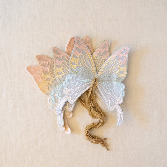 rainbow butterfly wings